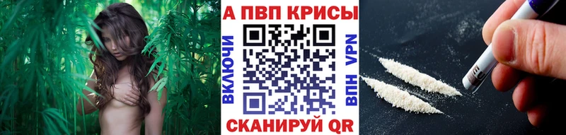 Alfa_PVP крисы CK  KRAKEN ТОР  Обнинск  где найти наркотики 