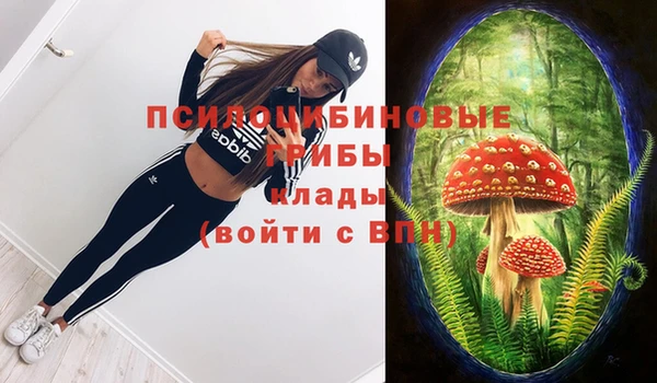 СК Алексеевка
