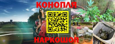 шишки Ипатово