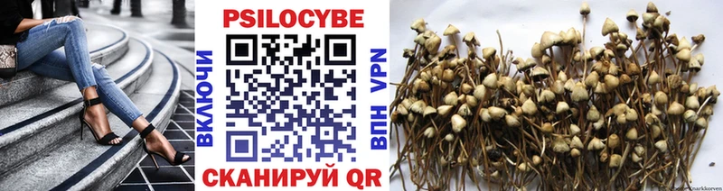 Галлюциногенные грибы Magic Shrooms  Обнинск 