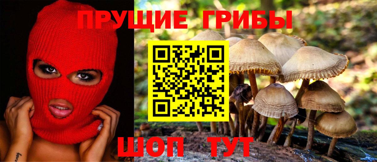 Галлюциногенные грибы мухоморы  что такое наркотик  Вход с VPN  Обнинск  Псилоцибиновые грибы мицелий 